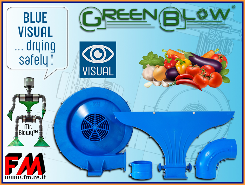 GreenBlow also becomes Blue Visual !